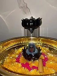 Review image from vivek