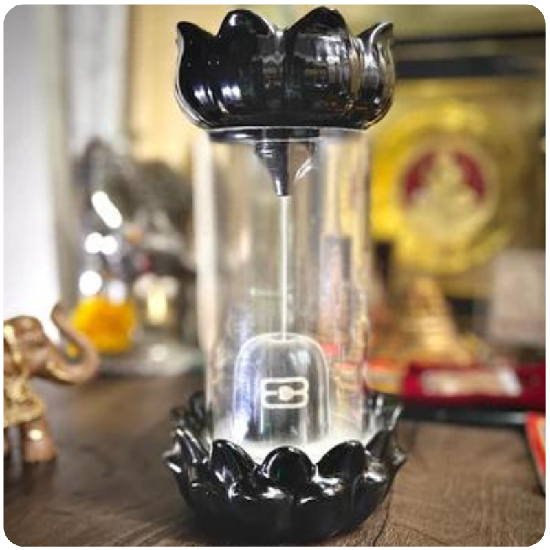 Shiva Abhishek™ [LIMITED EDITION]